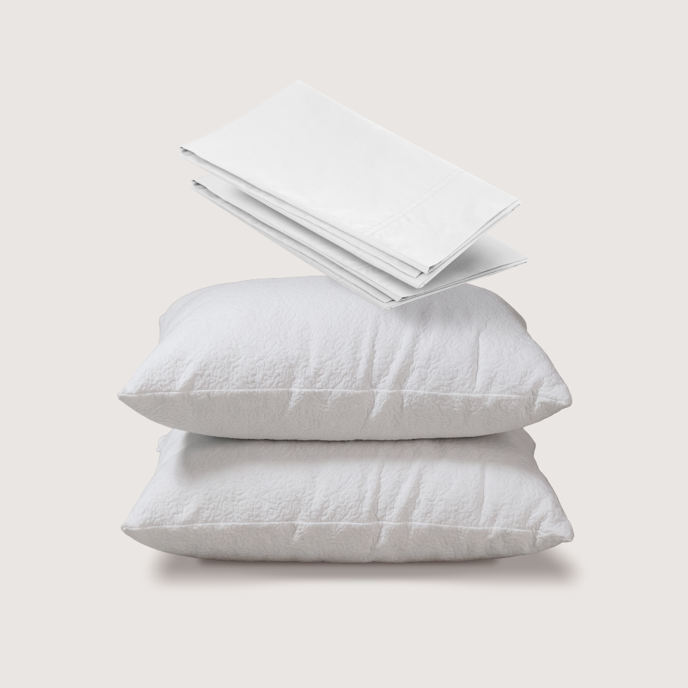 almohadas + fundas de algodón