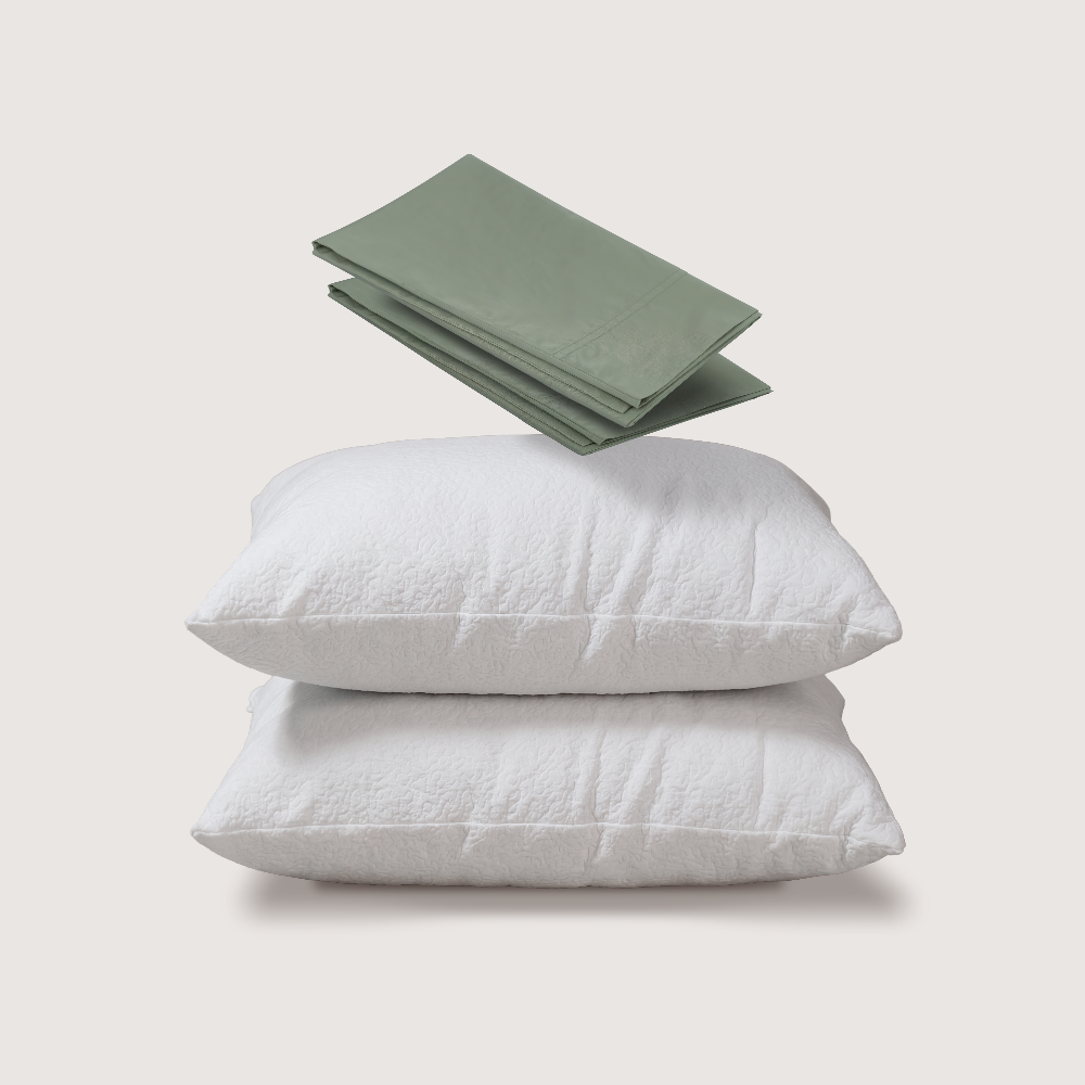 almohadas + fundas de algodón