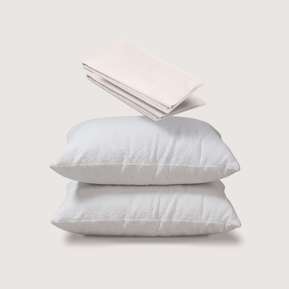 almohadas + fundas de algodón